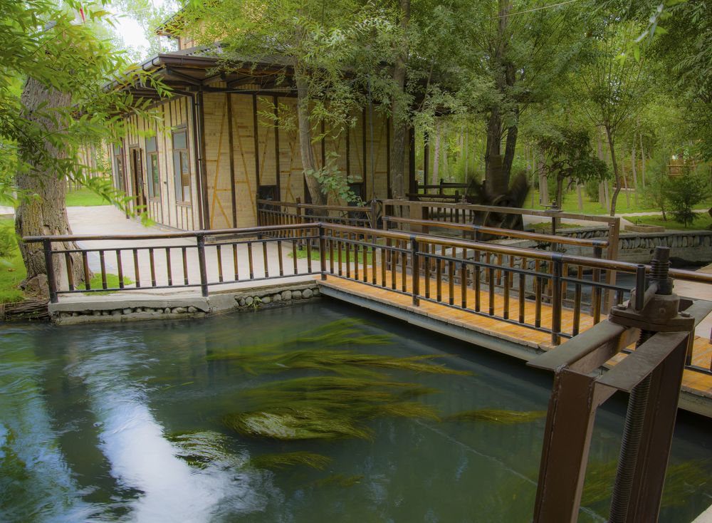 Photograph by Abdulrahman Sawalha