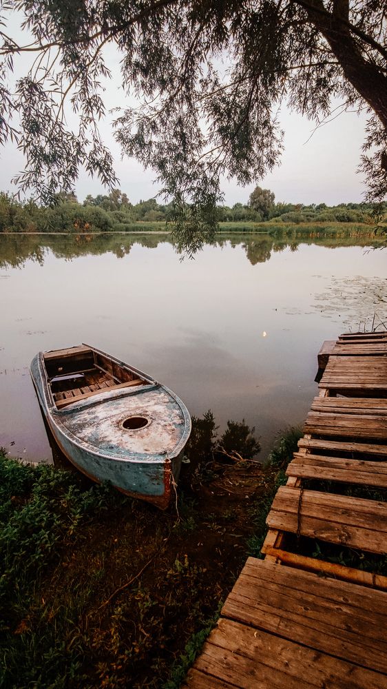 Photograph by Евгения Давыдовская