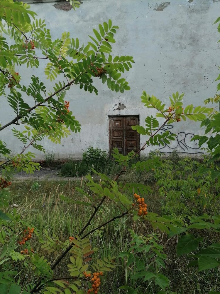 Photograph by Ляля Майс