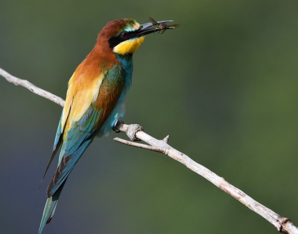 Photograph by Гульнара Сараева