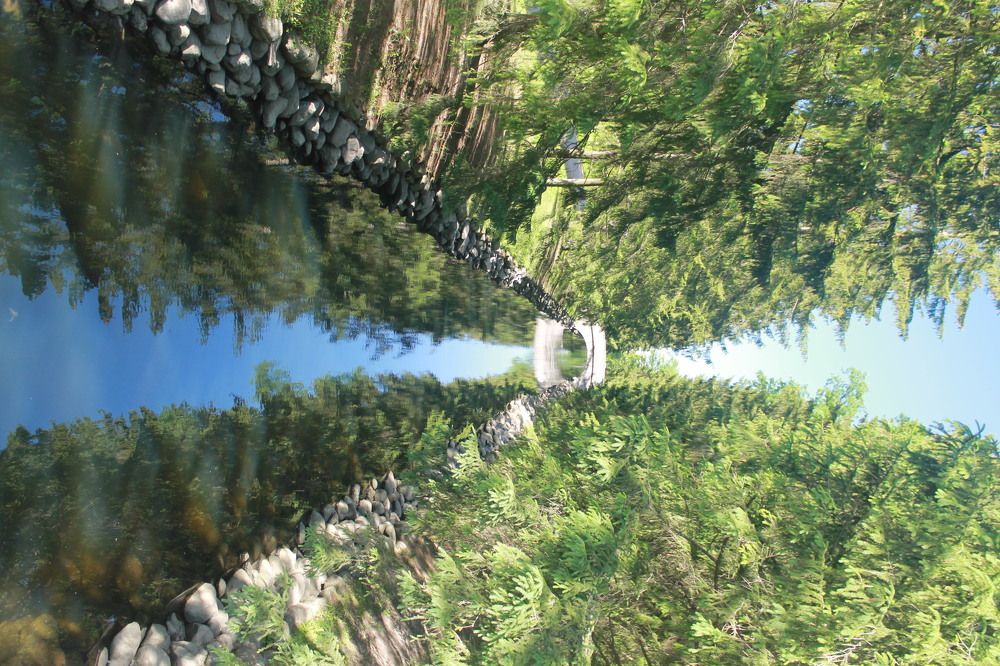 Photograph by Екатерина Русских