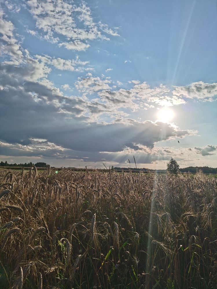 Photograph by Вероника Цагельник