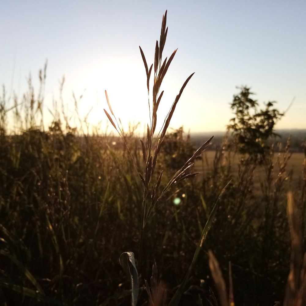 Photo #6337533