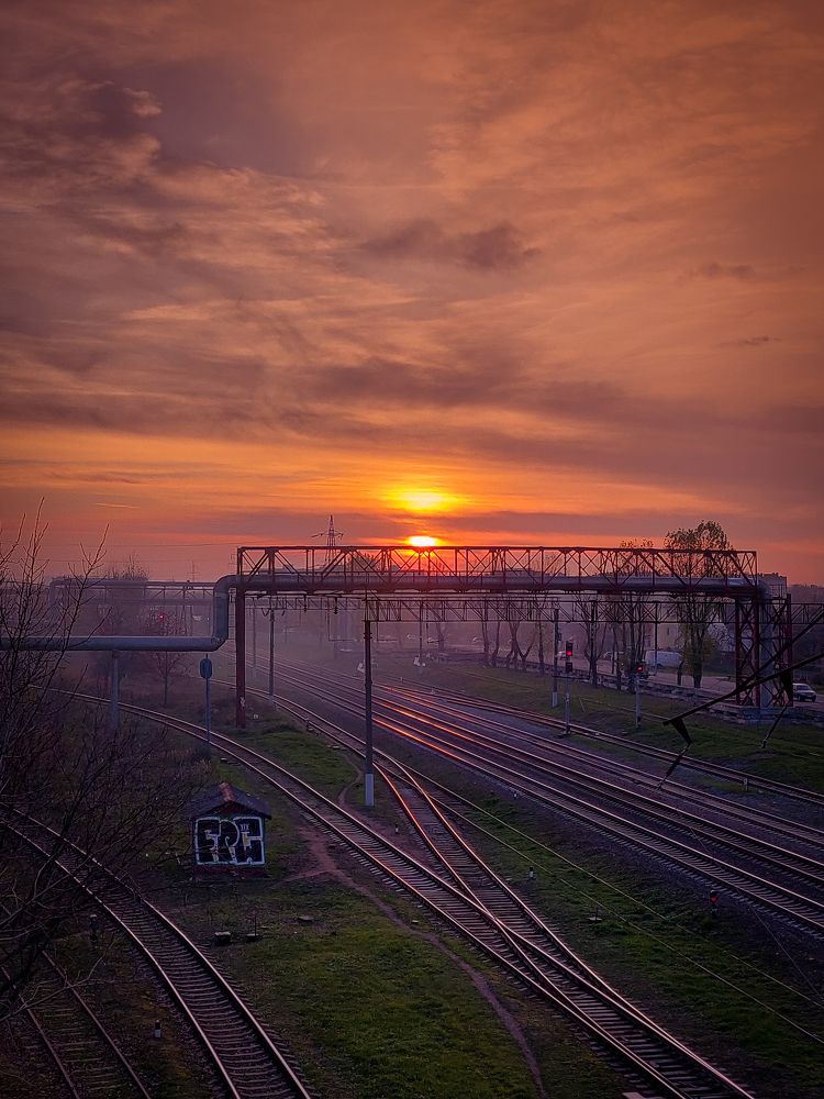 Photograph by Елена Башмакова