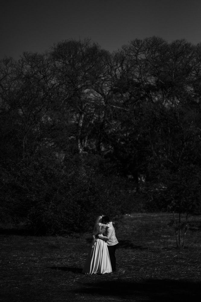 Фотография автора Omar Shebl