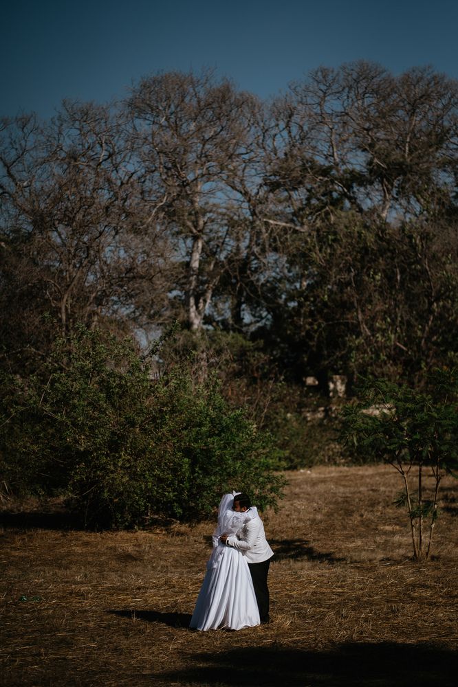 Фотография автора Omar Shebl