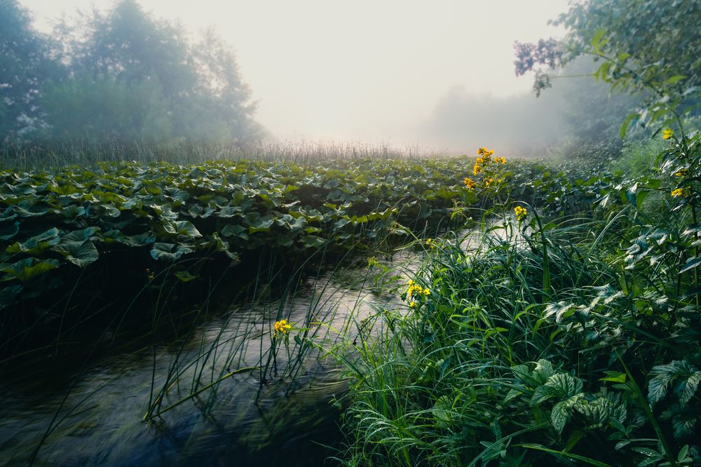 Photograph by Александр Титов