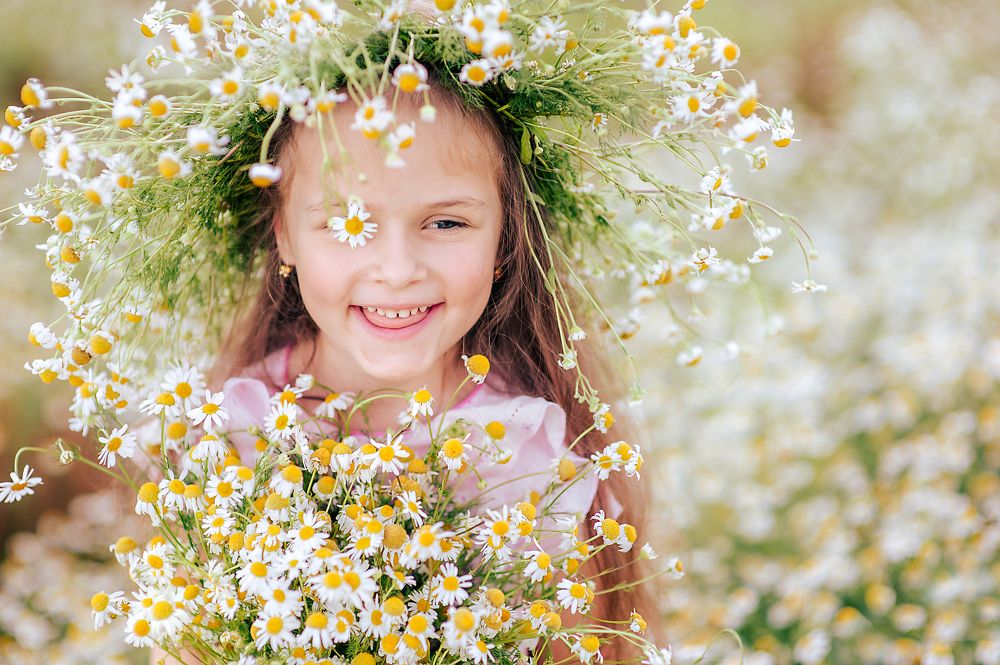 Ромашковое чудо