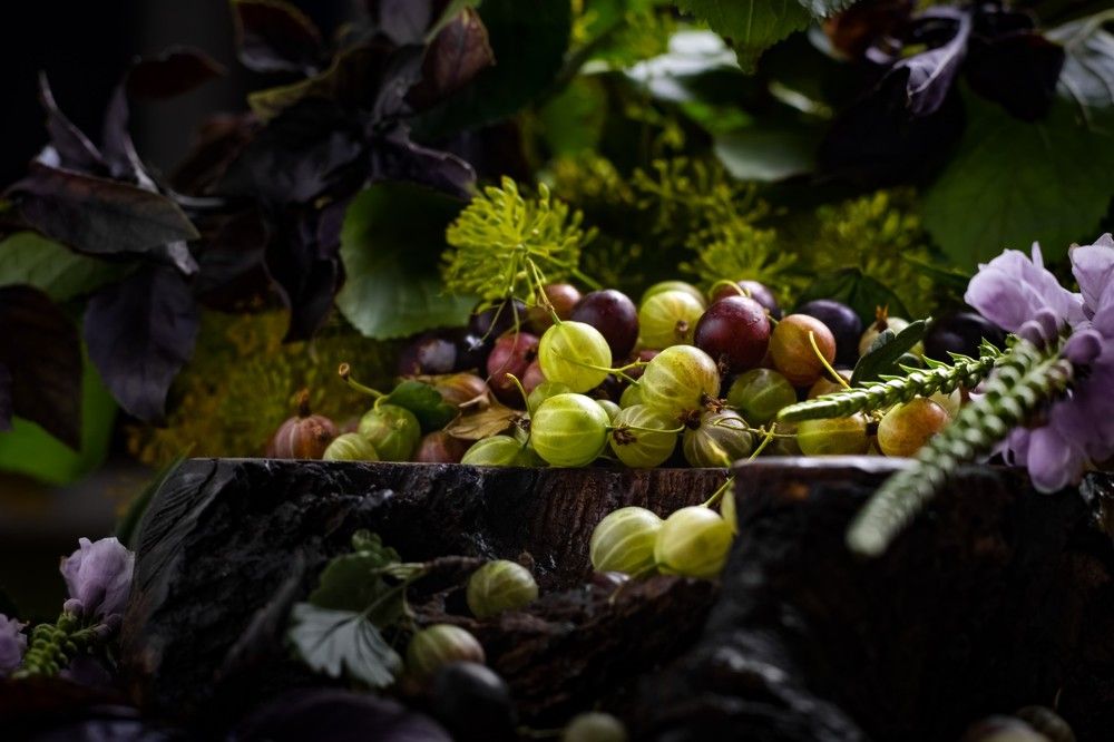 Photograph by Hanna Zapylaieva