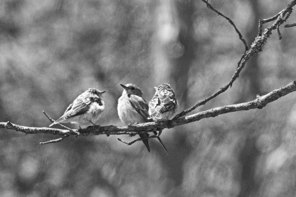 Photograph by Александр Дурасов