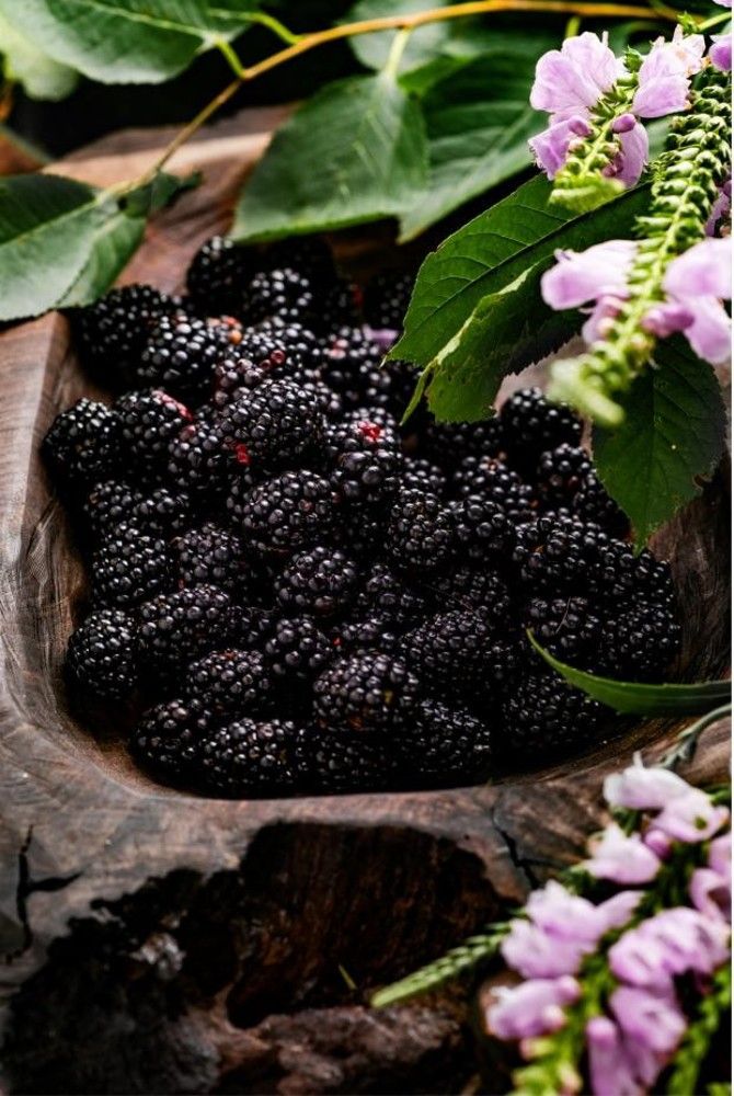 Photograph by Hanna Zapylaieva