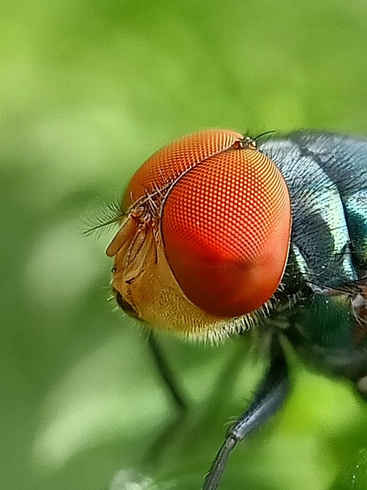 Photograph by HASRULLIANA NINGSIH