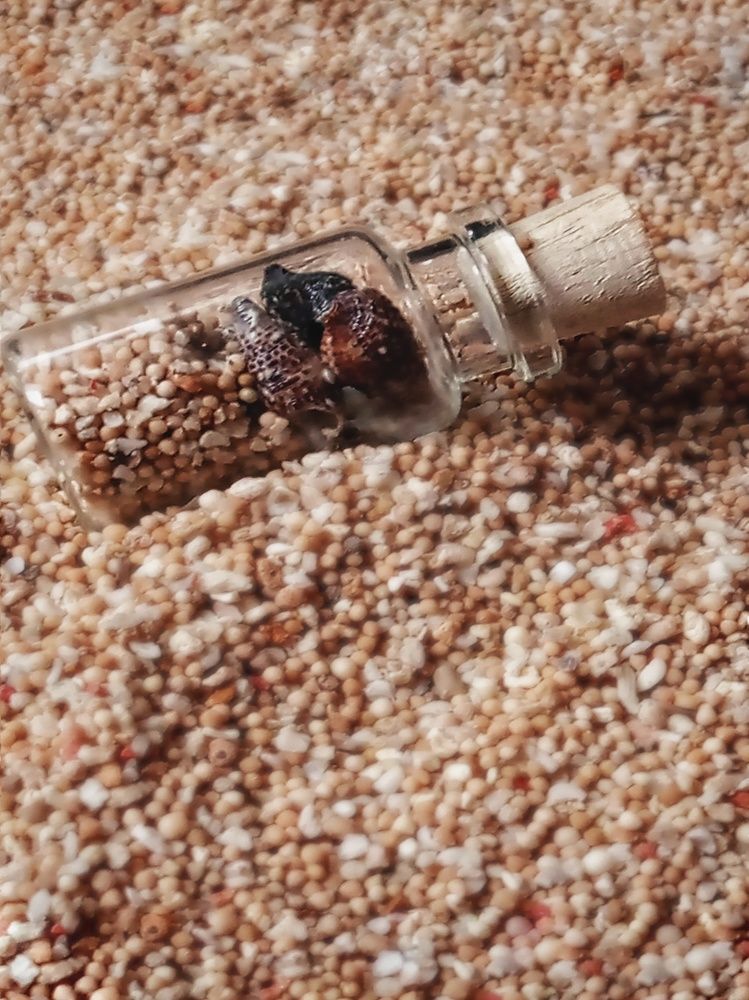 Photograph by avie apoy