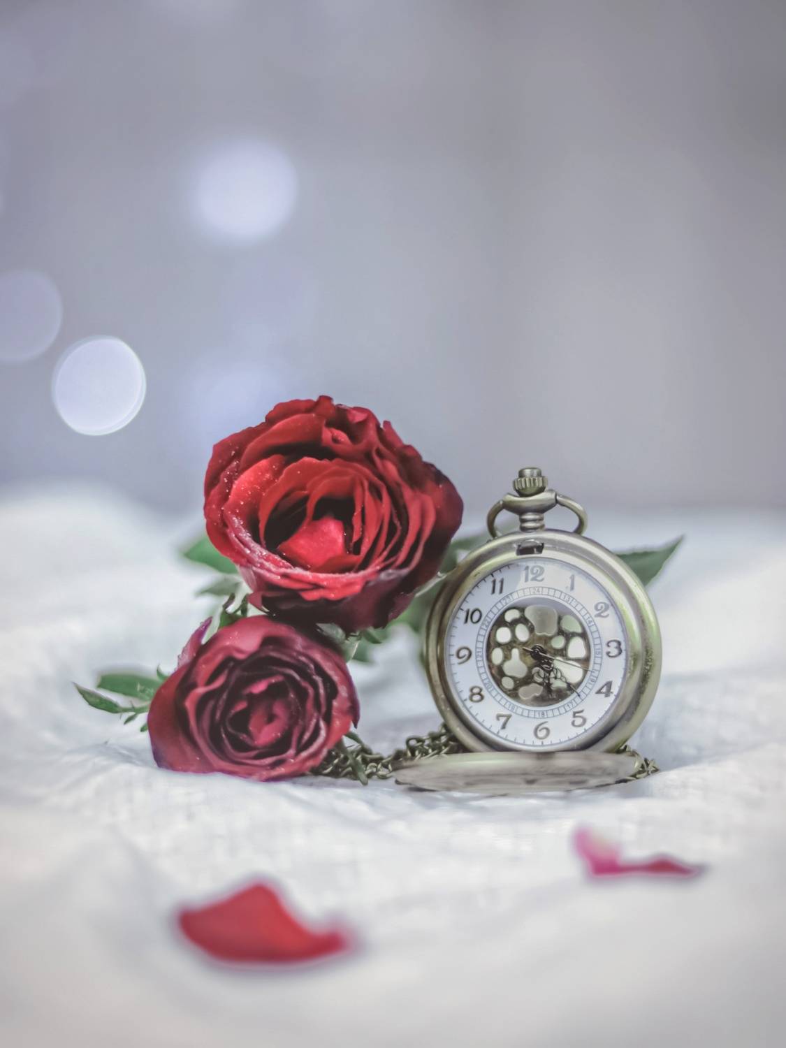 Фотография #6338491