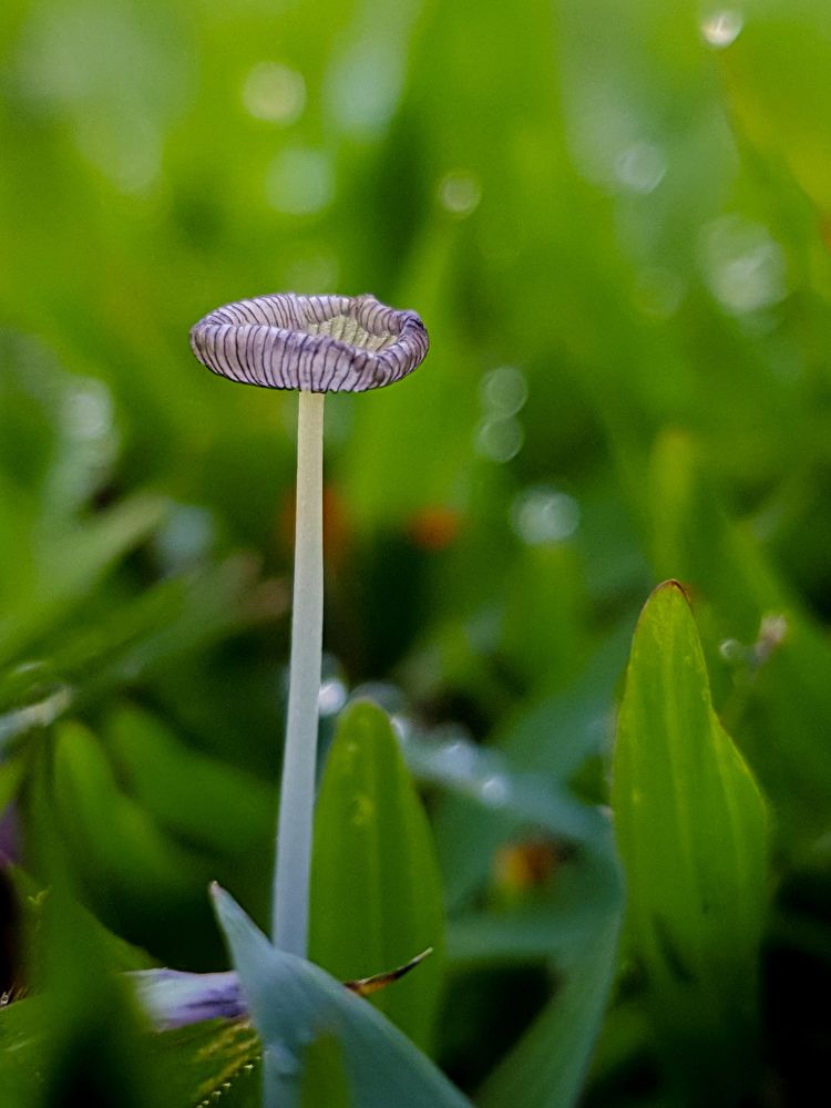 Photograph by Indah Asmoro