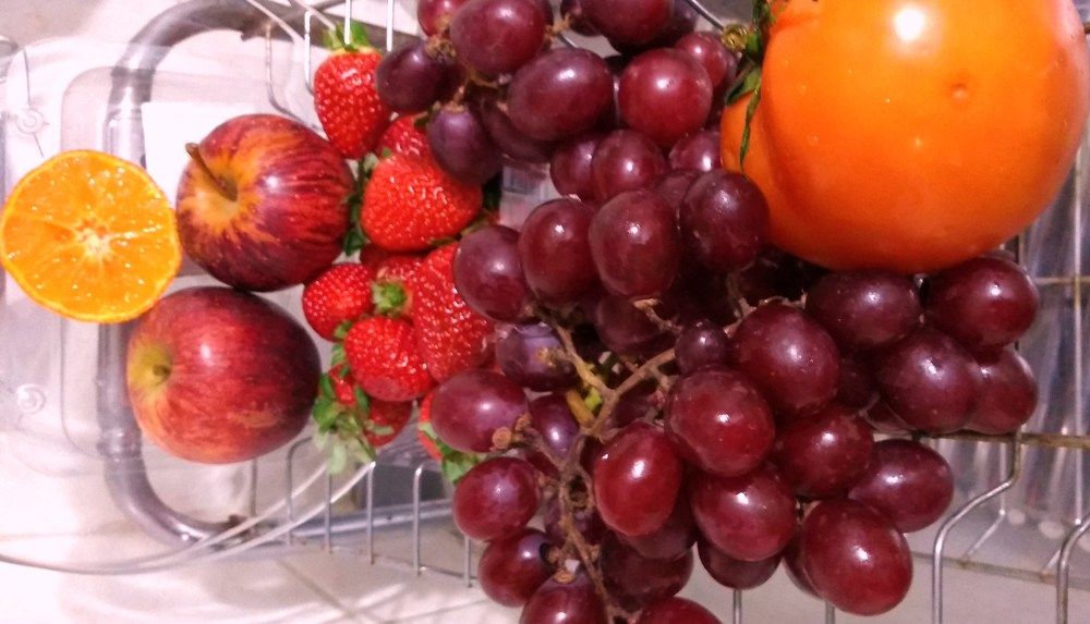 Photograph by Elza Bento de Oliveira Dotti