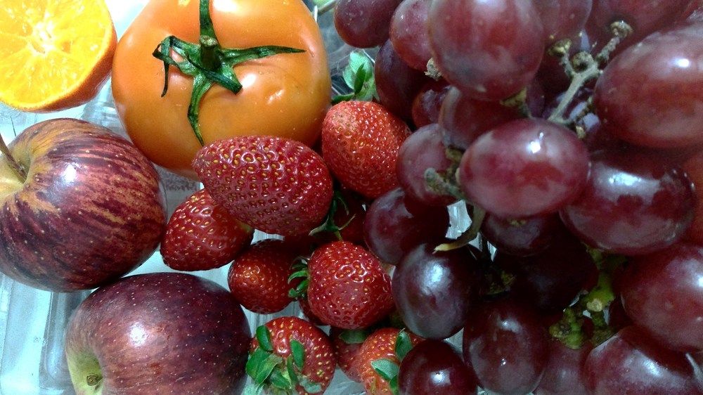 Photograph by Elza Bento de Oliveira Dotti