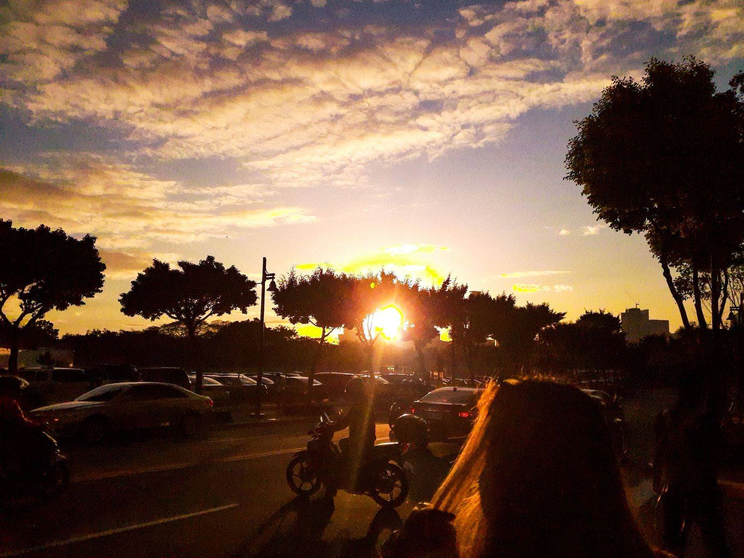 Photo #6338542