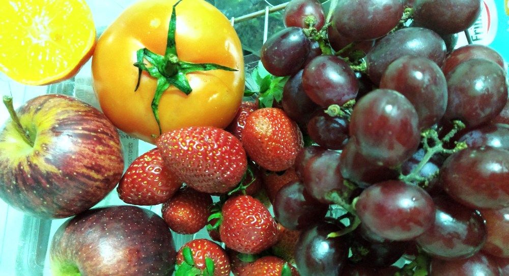 Photograph by Elza Bento de Oliveira Dotti