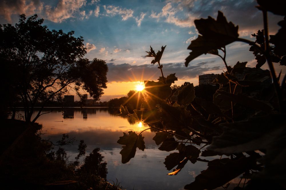 Photograph by EKATERINA WALTER