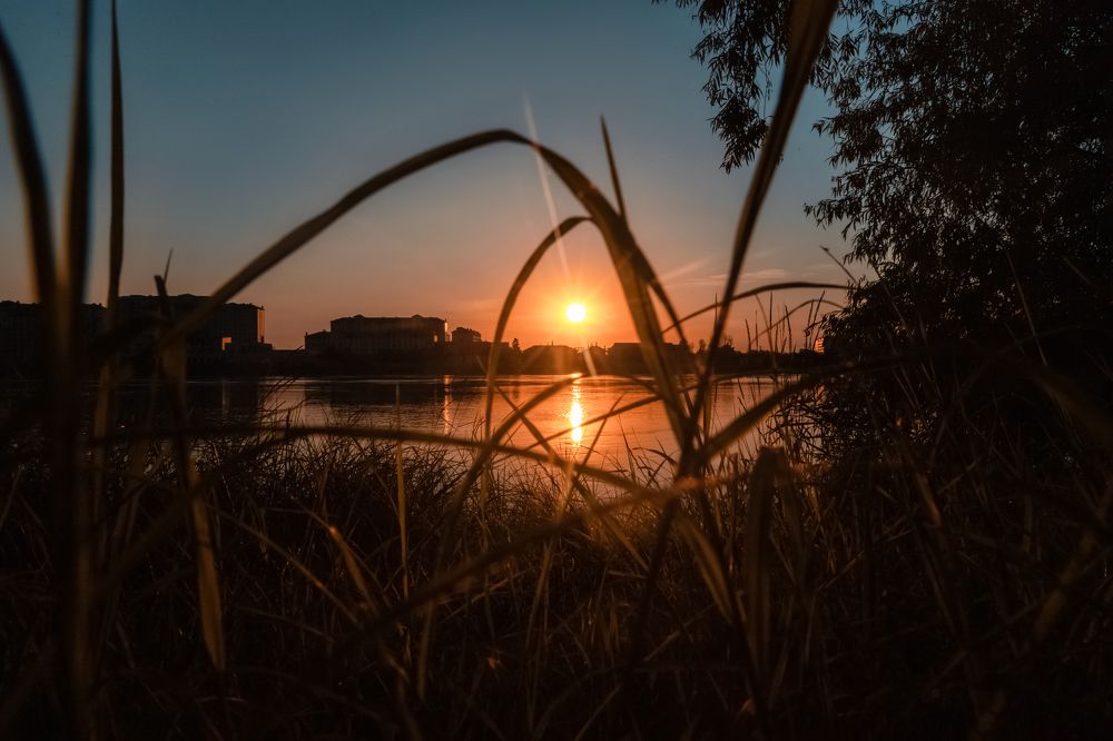 Photograph by EKATERINA WALTER