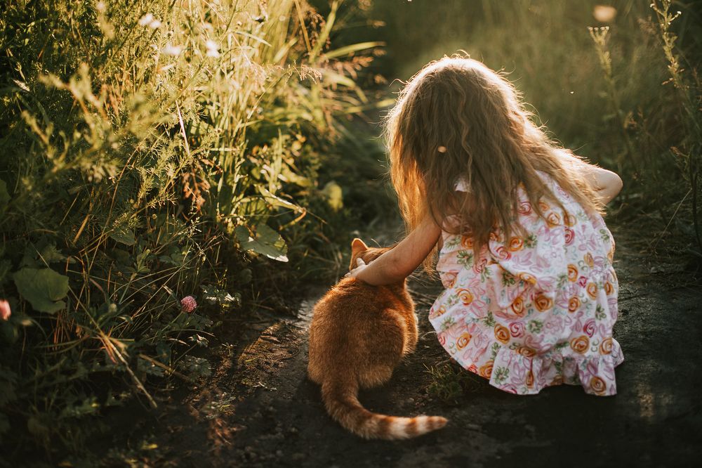 Photograph by Валерия Трофимова