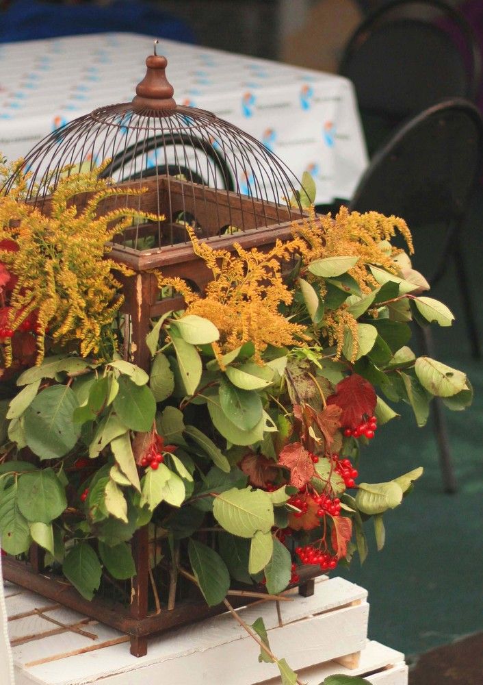 Photograph by Наталья Сазонова