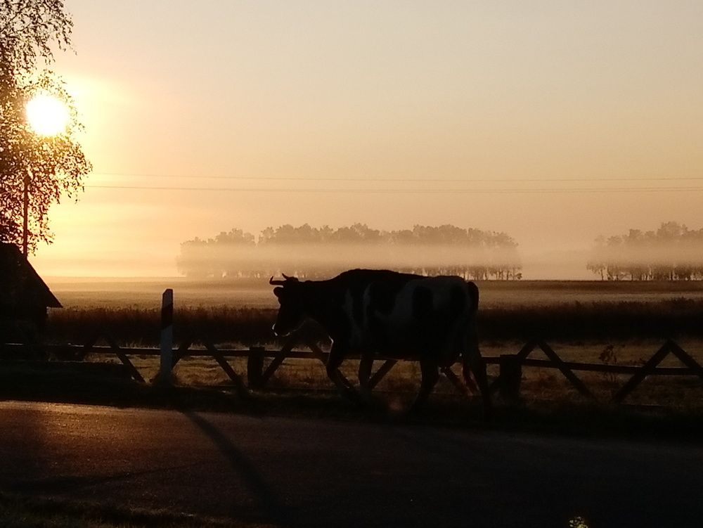 Photograph by Вероника Цагельник