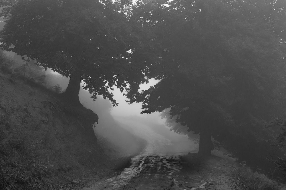 Cover the trees in an endless way