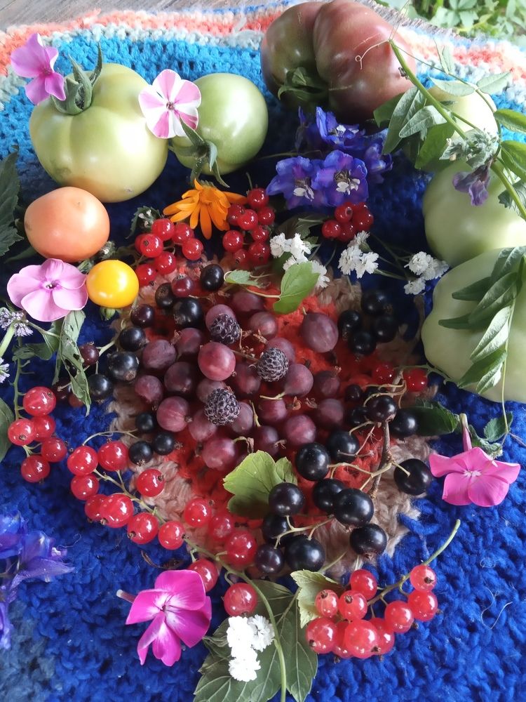 Photograph by Любовь Шаврина