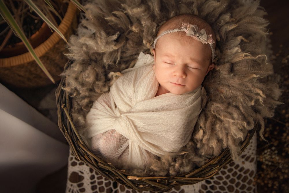 Фотография автора Olga Fedorova