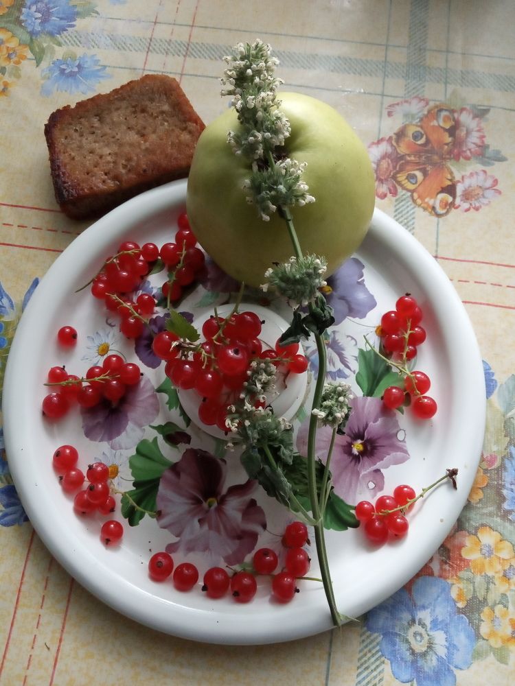 Photograph by Любовь Шаврина