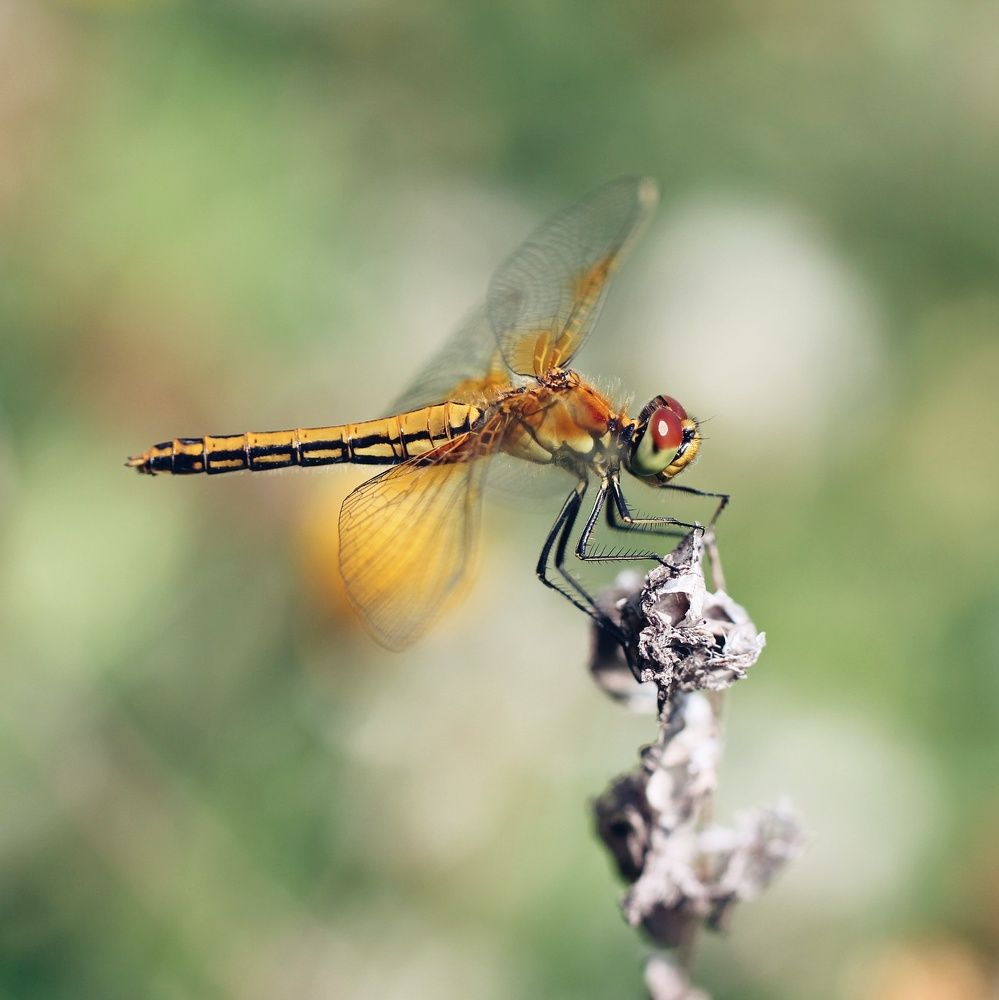 Photograph by Наталия Долганова