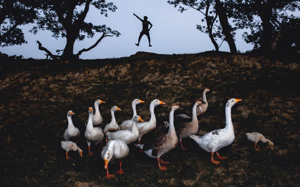 Photograph by Pranto nayan