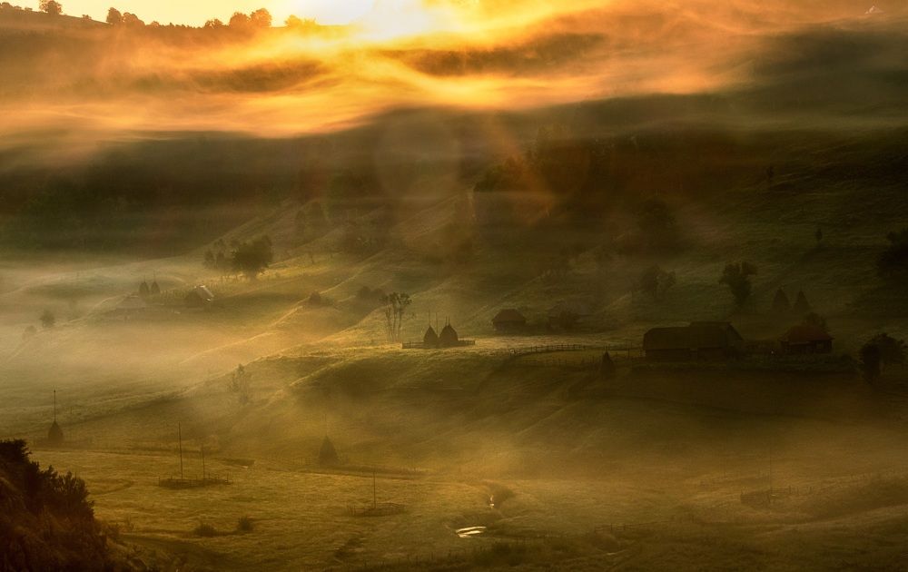 Фотография автора Ioana Crisan