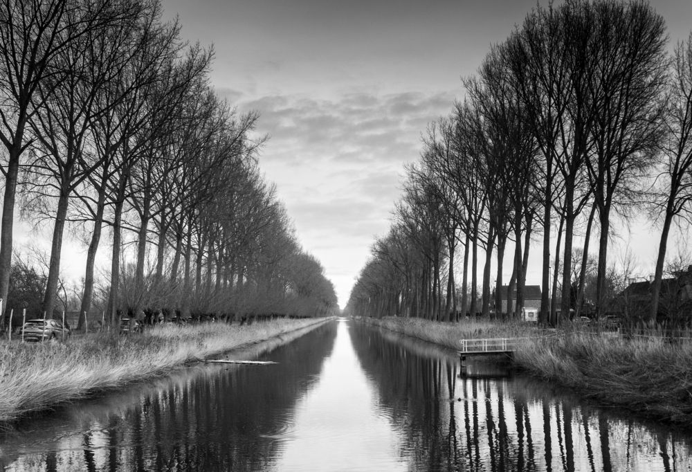 Photograph by Marc Nollet