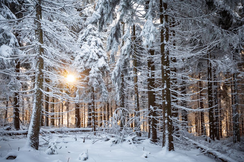 Photograph by Miroslav Konfál