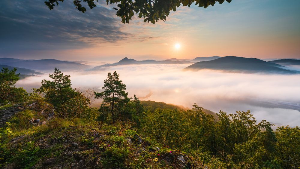 Photograph by Miroslav Konfál