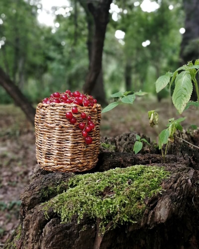 Photograph by Лариса Бурова