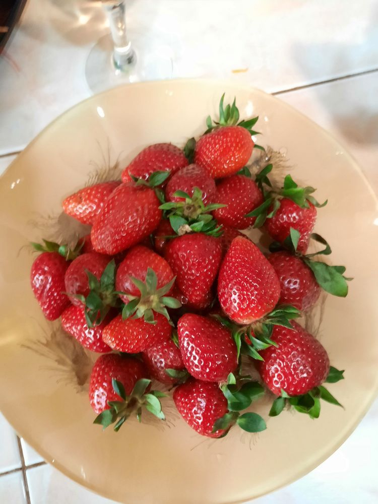 Photograph by Денис Умеренков