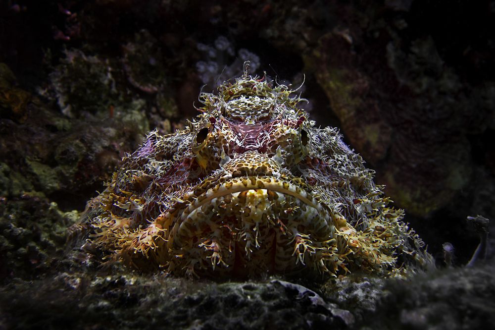 Photograph by Альт Эдуард