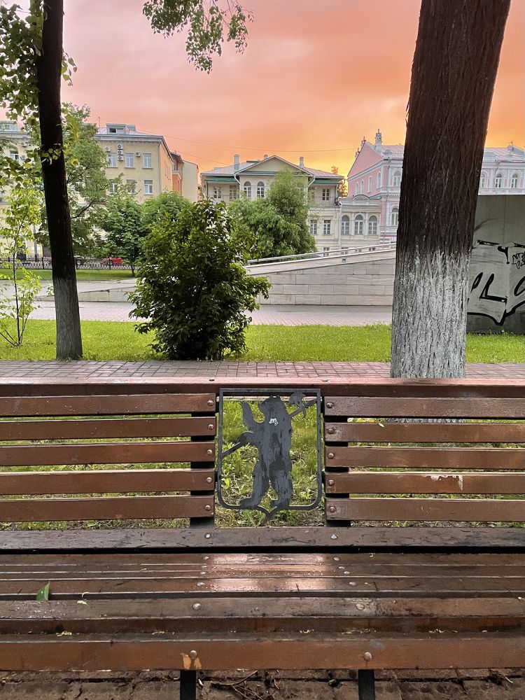 Медведь с протозаном на закате