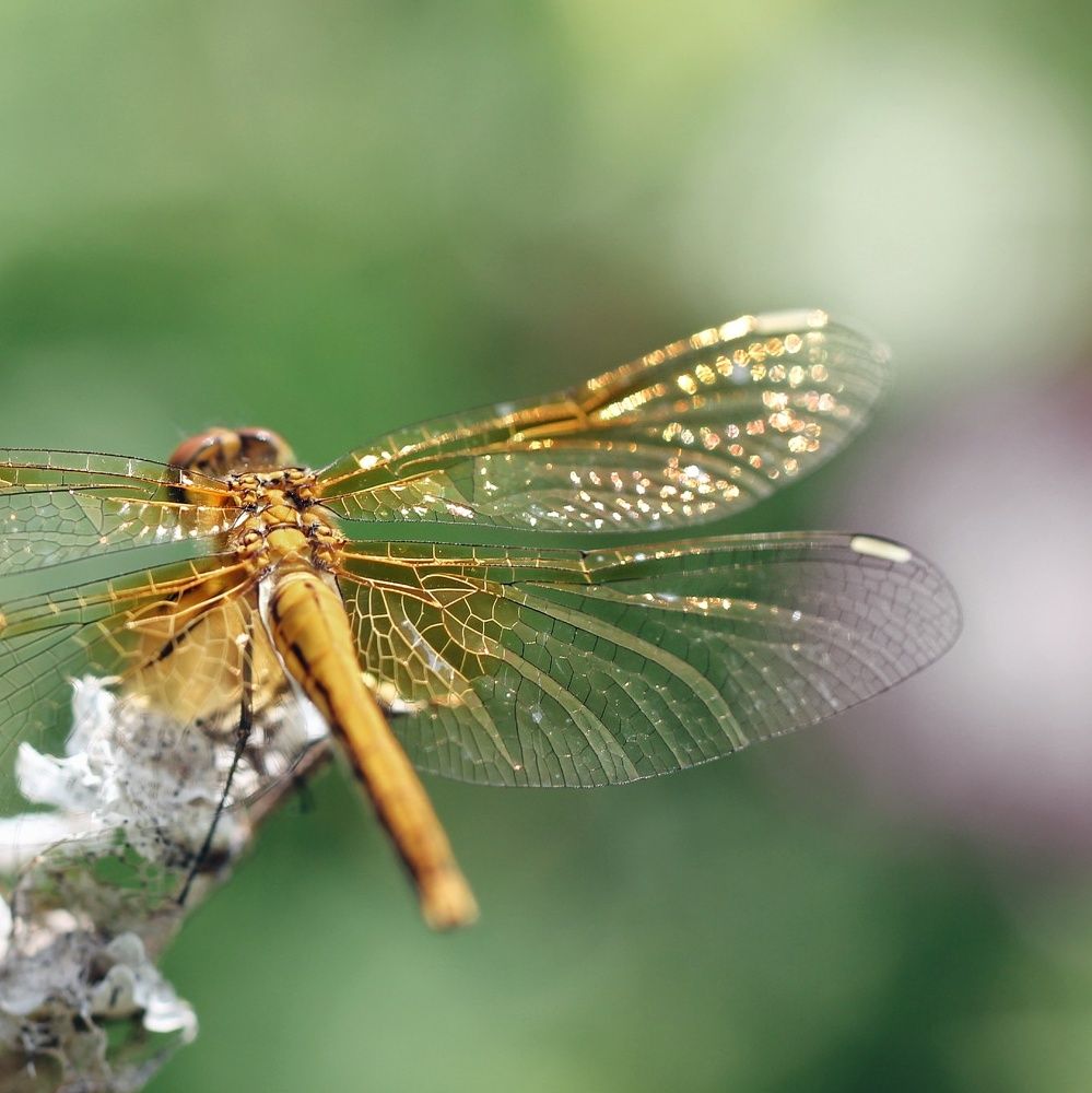 Photograph by Наталия Долганова