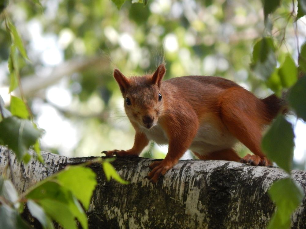 Photograph by Андрей Соколов