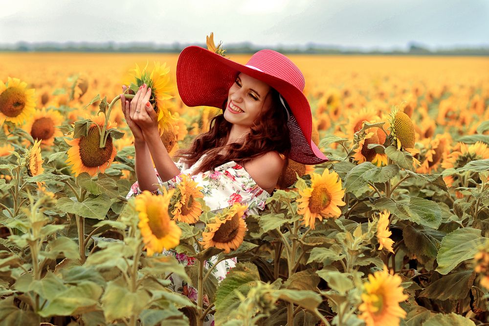 Среди подсолнечников