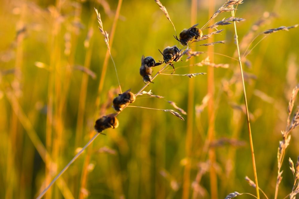 Photograph by Настюша