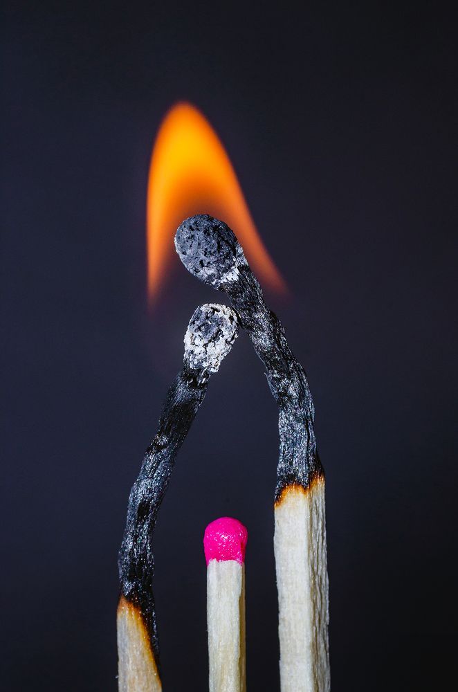 Photograph by Sahar Jafari