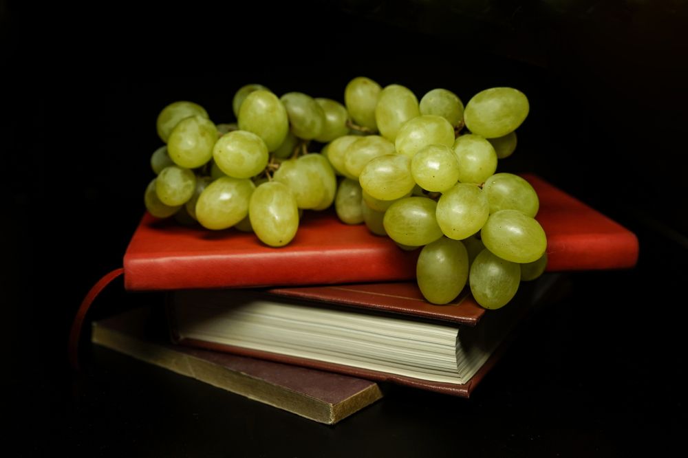 Фотография автора Alexandra Bird