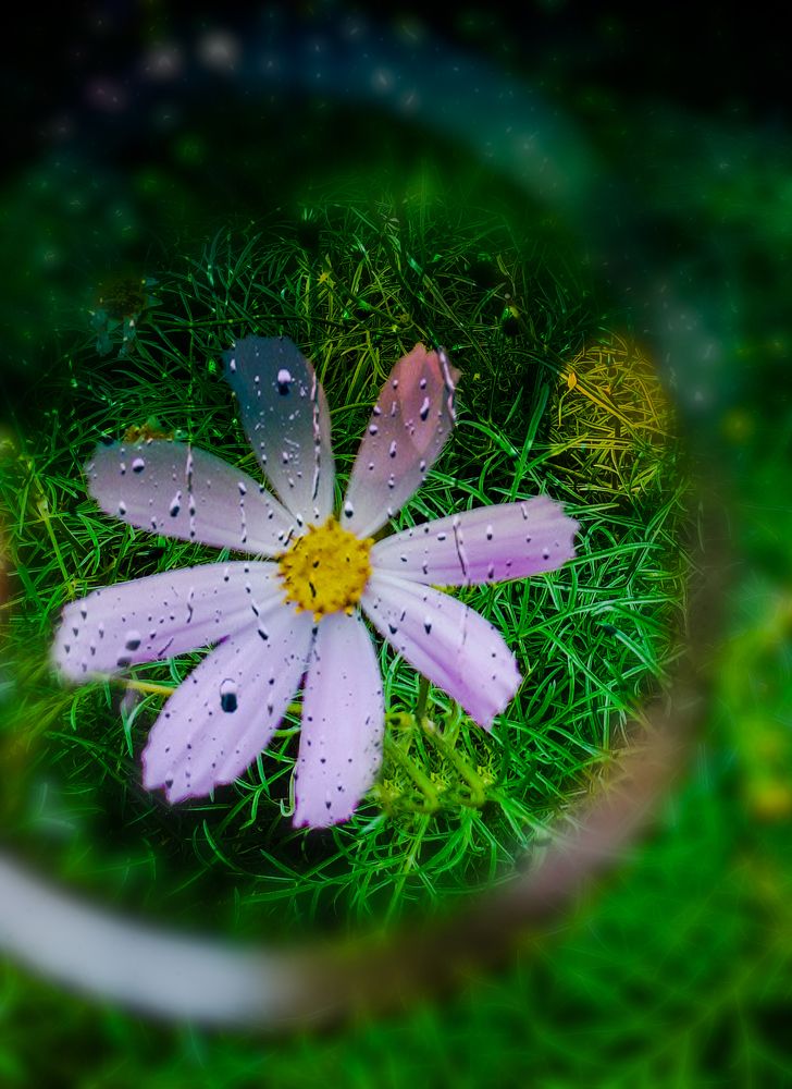 Photograph by Алина Куприянова