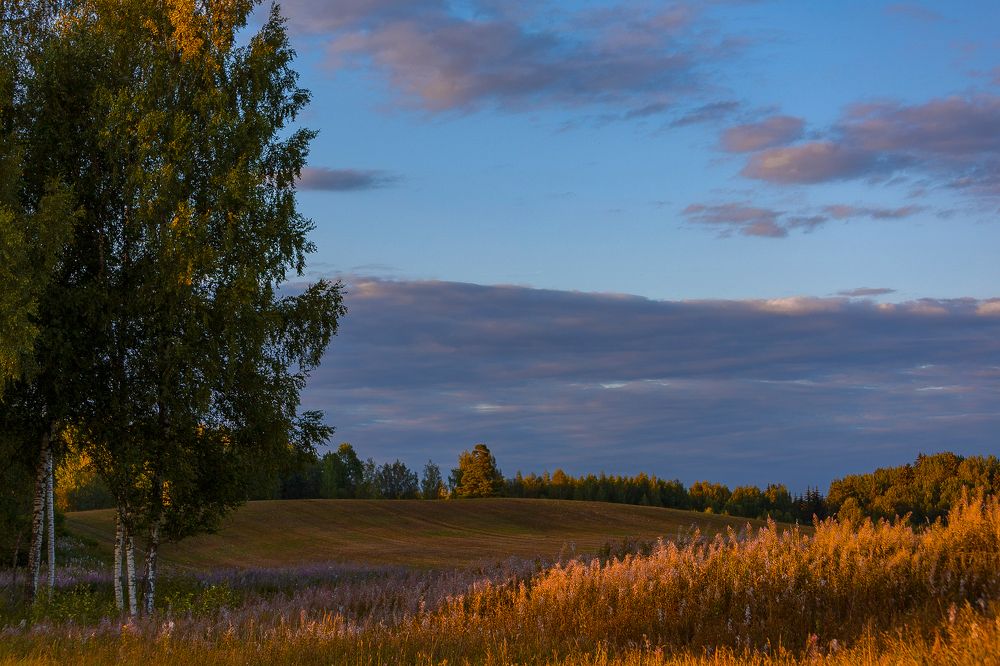 Дыхание осени